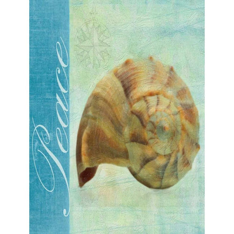 PEACE SHELL Black Modern Wood Framed Art Print by Greene, Taylor