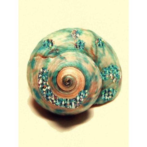 Jeweled Shell I Black Modern Wood Framed Art Print with Double Matting by Greene, Taylor