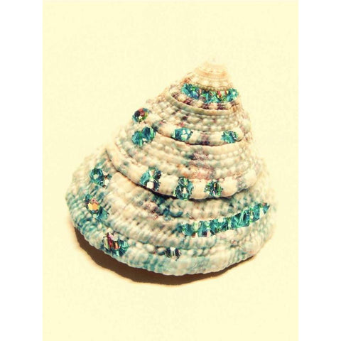 Jeweled Shell II Black Modern Wood Framed Art Print with Double Matting by Greene, Taylor