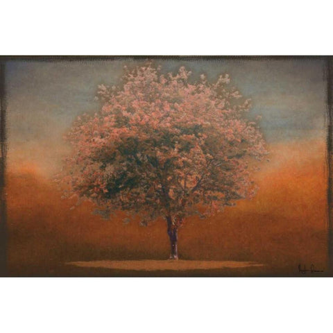 INDIAN SUMMER SILHOUETTE White Modern Wood Framed Art Print by Greene, Taylor