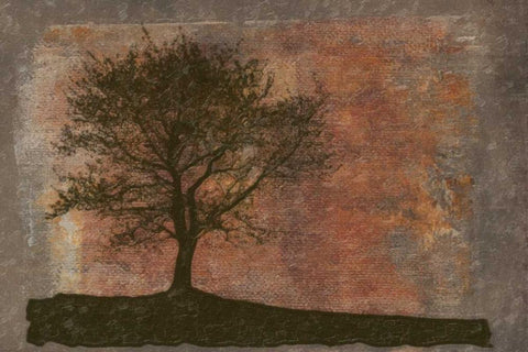 TREE HORIZON Black Ornate Wood Framed Art Print with Double Matting by Greene, Taylor