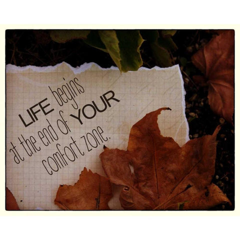 Life Begins Black Modern Wood Framed Art Print with Double Matting by Greene, Taylor