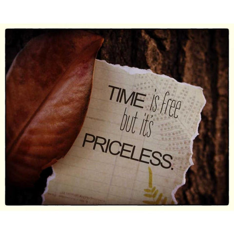 Time Is Free Gold Ornate Wood Framed Art Print with Double Matting by Greene, Taylor