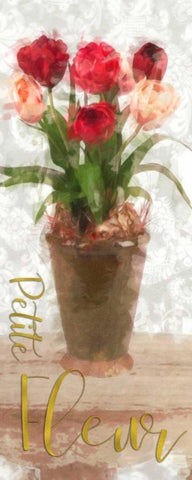 Petite Fluer White Modern Wood Framed Art Print with Double Matting by Greene, Taylor