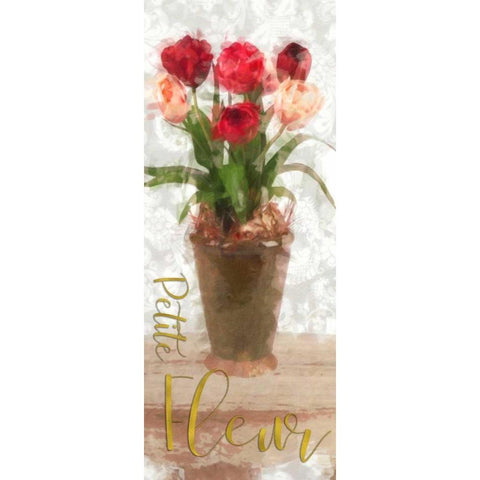 Petite Fluer White Modern Wood Framed Art Print by Greene, Taylor