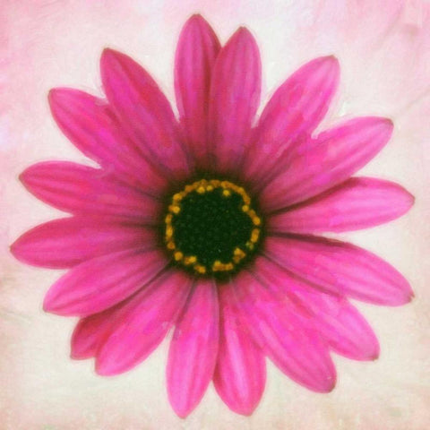 DAISY CHAIN 1 Black Modern Wood Framed Art Print by Greene, Taylor