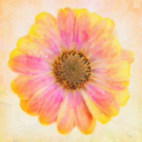 DAISY CHAIN 2 Black Modern Wood Framed Art Print by Greene, Taylor