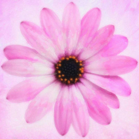 DAISY CHAIN 4 White Modern Wood Framed Art Print by Greene, Taylor