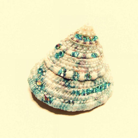 Jeweled Shell 2 White Modern Wood Framed Art Print with Double Matting by Greene, Taylor