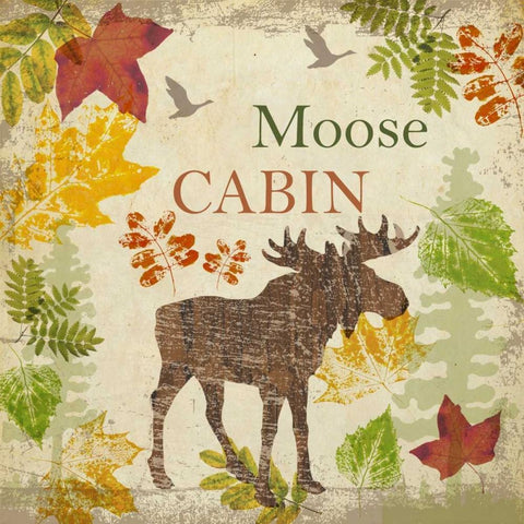 MOOSE CABIN C1 White Modern Wood Framed Art Print by Greene, Taylor