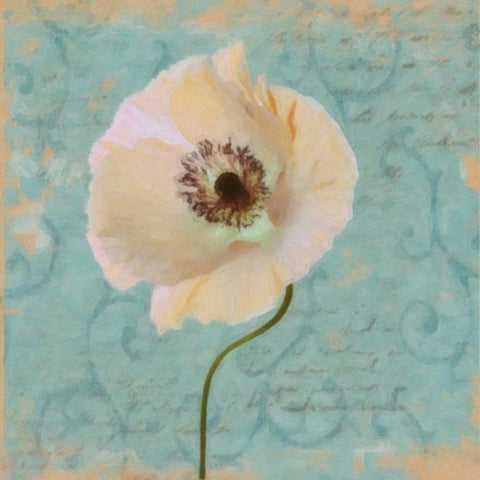 BLUE POPPY SCRIPT II Black Modern Wood Framed Art Print with Double Matting by Greene, Taylor