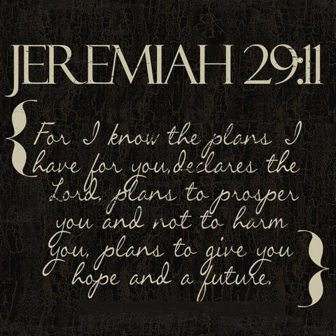 Jeremiah 29-11 Black Modern Wood Framed Art Print with Double Matting by Greene, Taylor