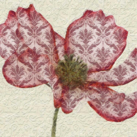 PATTEREND RED PETALS I White Modern Wood Framed Art Print with Double Matting by Greene, Taylor