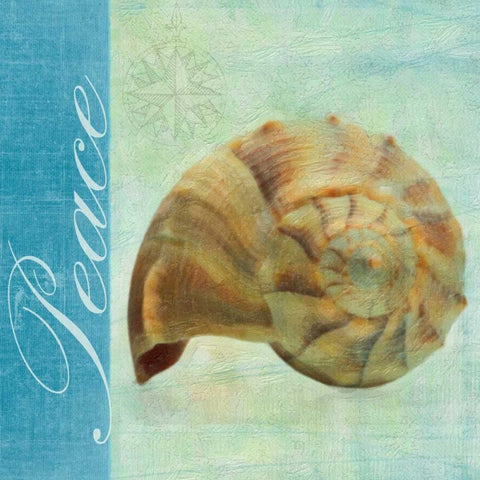 PEACE SHELL White Modern Wood Framed Art Print by Greene, Taylor