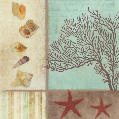 CORAL DECOUPAGE I  White Modern Wood Framed Art Print with Double Matting by Greene, Taylor