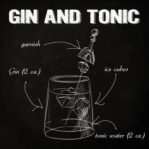 GIN AND TONIC SKETCH Black Modern Wood Framed Art Print with Double Matting by Greene, Taylor