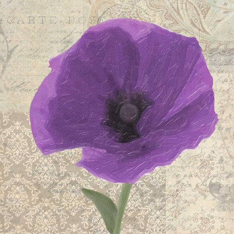 PLUM POPPY I White Modern Wood Framed Art Print by Greene, Taylor