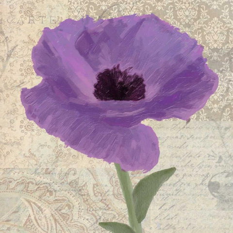 PLUM POPPY II White Modern Wood Framed Art Print by Greene, Taylor