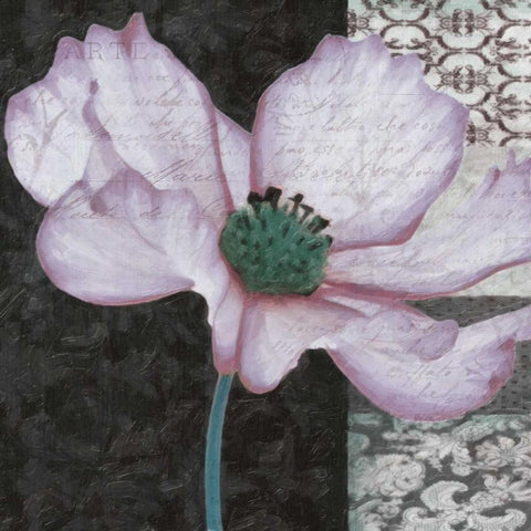Choqua Floral IV Black Ornate Wood Framed Art Print with Double Matting by Greene, Taylor
