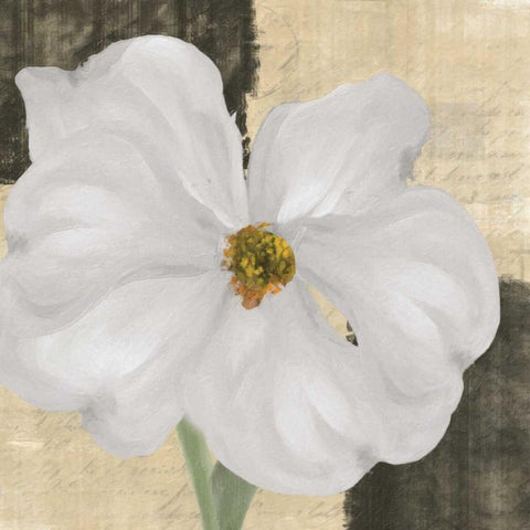 WHITE FLORAL I Gold Ornate Wood Framed Art Print with Double Matting by Greene, Taylor