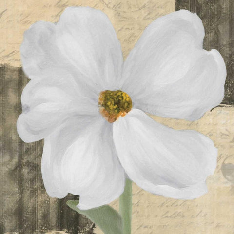 WHITE FLORAL II Black Modern Wood Framed Art Print by Greene, Taylor