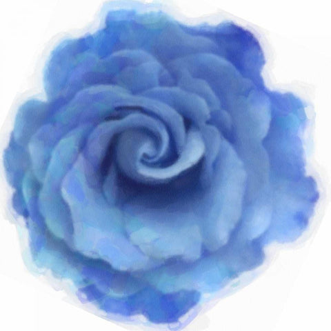 Blue Rose White Modern Wood Framed Art Print by Greene, Taylor