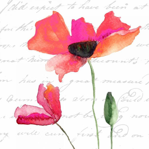 Watercolor Poppy Script Black Ornate Wood Framed Art Print with Double Matting by Greene, Taylor