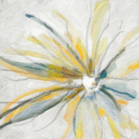 Contempo Daisy Black Modern Wood Framed Art Print with Double Matting by Greene, Taylor