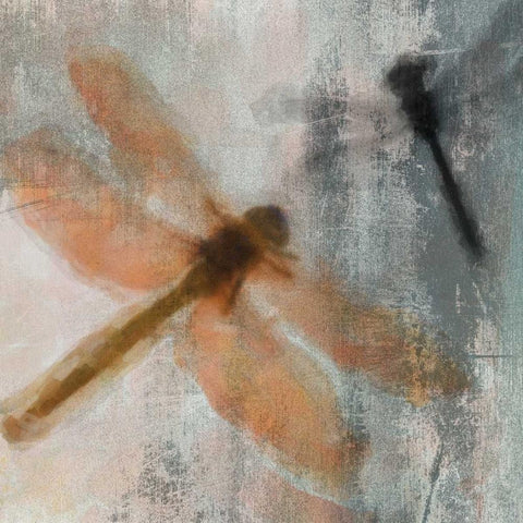 Dragons Fly 1 Black Modern Wood Framed Art Print with Double Matting by Greene, Taylor