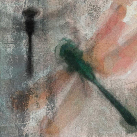 Dragons Fly 2 Gold Ornate Wood Framed Art Print with Double Matting by Greene, Taylor