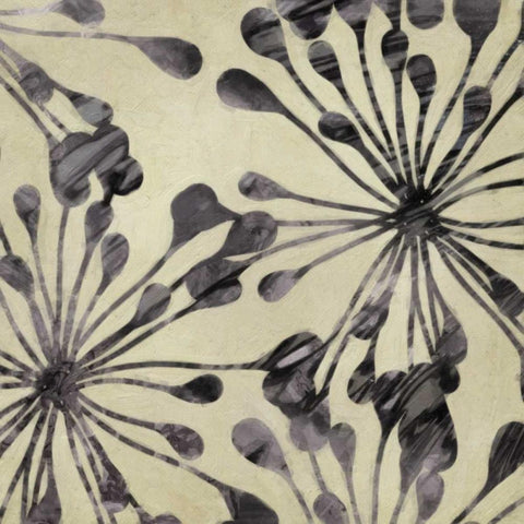 Floral Burst I Black Modern Wood Framed Art Print with Double Matting by Greene, Taylor