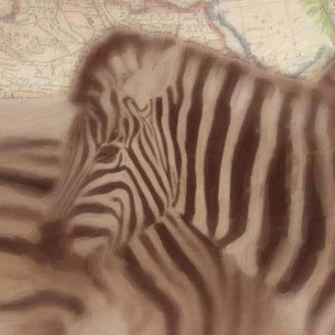 Zebra Travels White Modern Wood Framed Art Print with Double Matting by Greene, Taylor