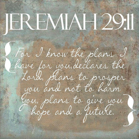 Jeremiah 29-11 White Modern Wood Framed Art Print with Double Matting by Greene, Taylor