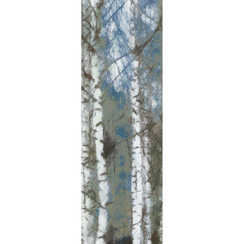 Birch Scape 1 White Modern Wood Framed Art Print by Greene, Taylor