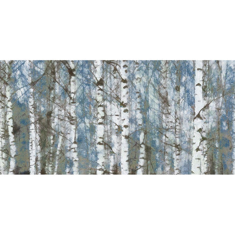 Birch Scape Black Modern Wood Framed Art Print with Double Matting by Greene, Taylor