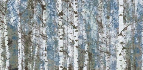 Birch Scape White Modern Wood Framed Art Print with Double Matting by Greene, Taylor