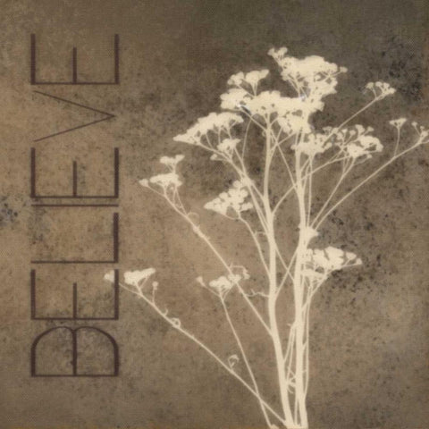 Believe Silhouette Black Modern Wood Framed Art Print by Greene, Taylor