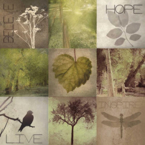 Silhouette Beauty 3 White Modern Wood Framed Art Print with Double Matting by Greene, Taylor