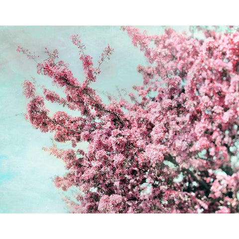 Blossoming Spring White Modern Wood Framed Art Print by Telik, Tracey