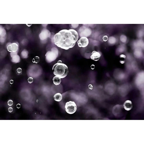 Bubbly Black Modern Wood Framed Art Print with Double Matting by Telik, Tracey