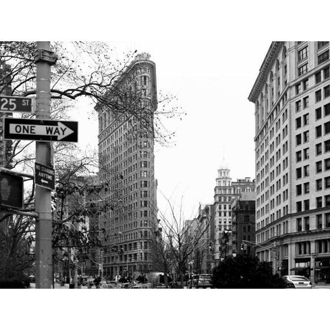Flat Iron BW White Modern Wood Framed Art Print by Telik, Tracey