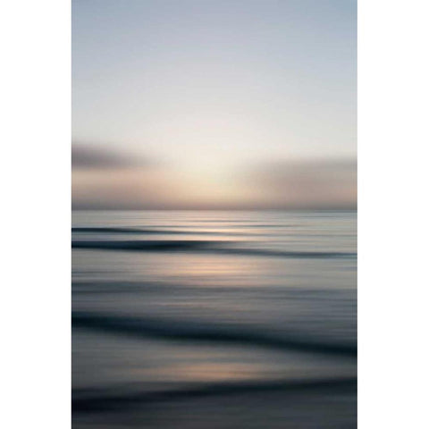 Tropical Sorbet Black Modern Wood Framed Art Print by Telik, Tracey