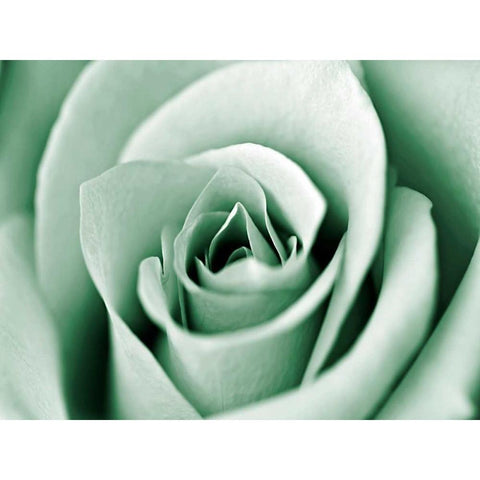 Jade Rose Gold Ornate Wood Framed Art Print with Double Matting by Telik, Tracey