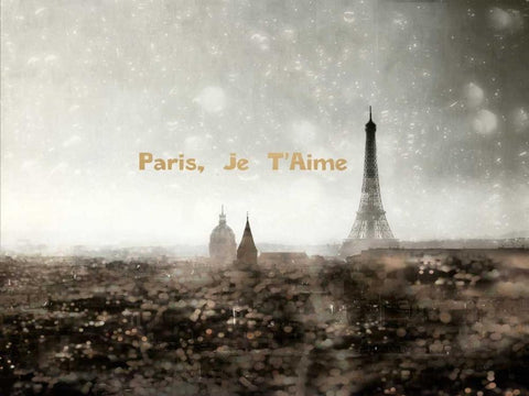 Paris Je Taime Black Ornate Wood Framed Art Print with Double Matting by Telik, Tracey