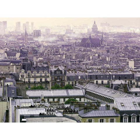 Foggy Paris White Modern Wood Framed Art Print by Telik, Tracey