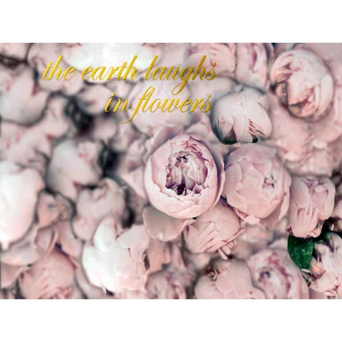 Laugh Flowers White Modern Wood Framed Art Print by Telik, Tracey