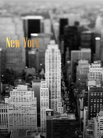 Gold NY Fifth Ave Black Ornate Wood Framed Art Print with Double Matting by Telik, Tracey