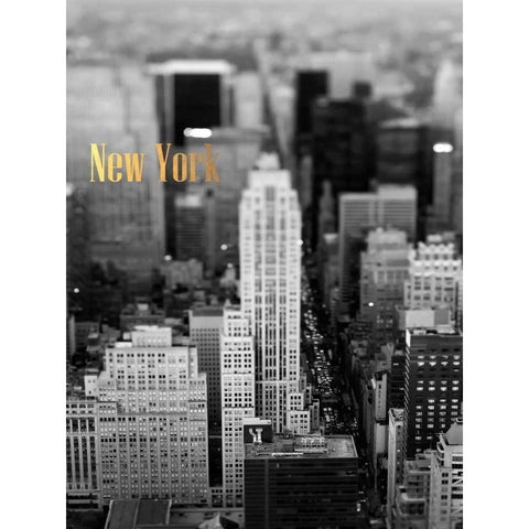 Gold NY Fifth Ave Black Modern Wood Framed Art Print by Telik, Tracey