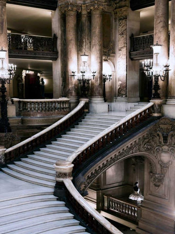 Grand Stairs Black Ornate Wood Framed Art Print with Double Matting by Telik, Tracey
