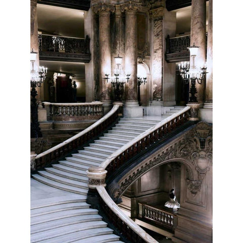 Grand Stairs Gold Ornate Wood Framed Art Print with Double Matting by Telik, Tracey